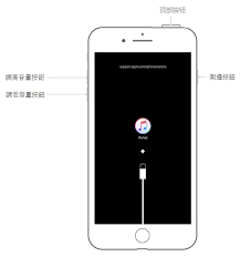 蘋果手機突然死機打不開是什么原因