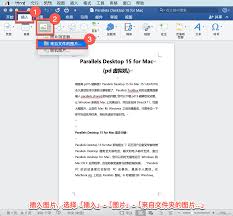 怎么在Word文檔中添加圖片