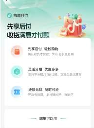 抖音月付為何如此便宜