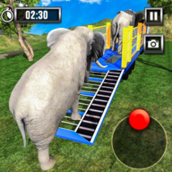 野生動物運輸車
