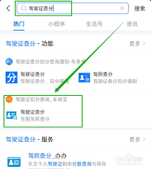 如何在支付寶查看駕駛證