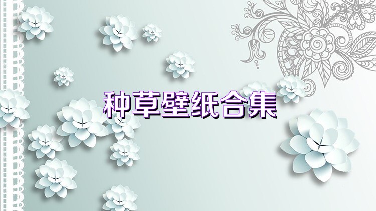 種草壁紙合集