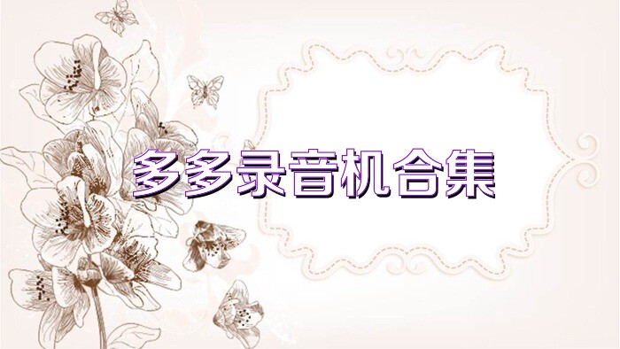 多多录音机合集
