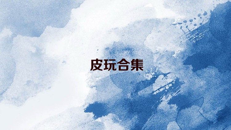 皮玩合集