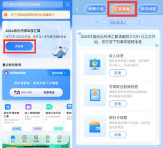 個人所得稅怎么開啟關(guān)懷模式
