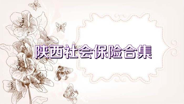 陜西社會(huì)保險(xiǎn)合集