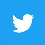 Twitter手機版