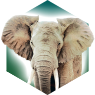 方舟動物園