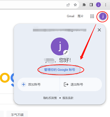 俄罗斯浏览器如何更改语言设置
