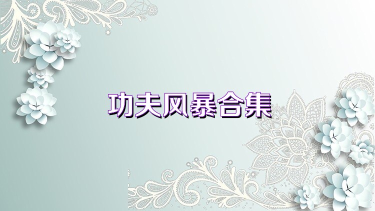 功夫風(fēng)暴合集