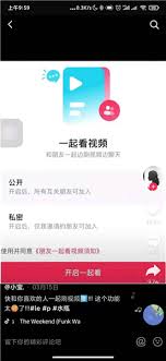 抖音如何設(shè)置一起看視頻為私密
