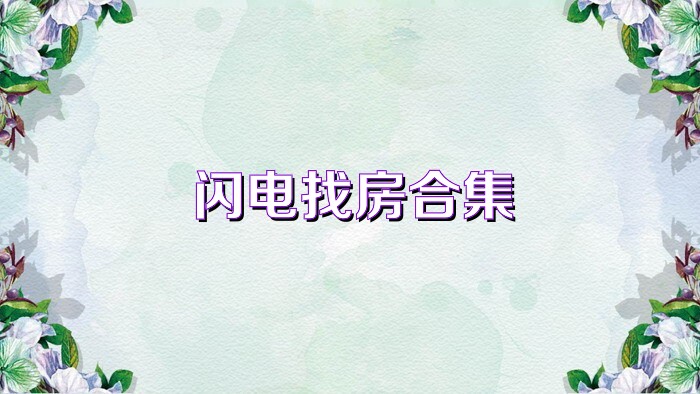 閃電找房合集