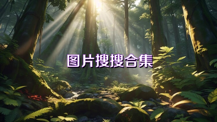 圖片搜搜合集
