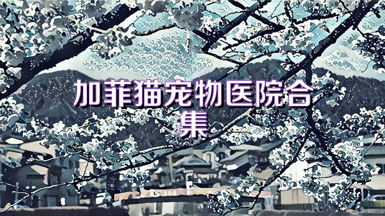 加菲貓寵物醫(yī)院合集