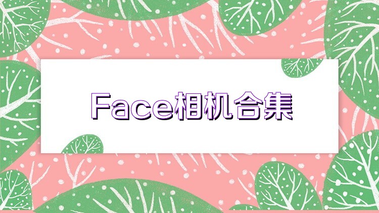 Face相機(jī)合集
