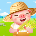 金幣養(yǎng)豬場紅包版