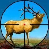 野鹿射擊冒險