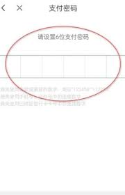 京東數(shù)字支付密碼是什么
