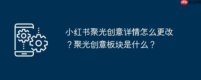 小紅書聚光創(chuàng)意詳情如何更改