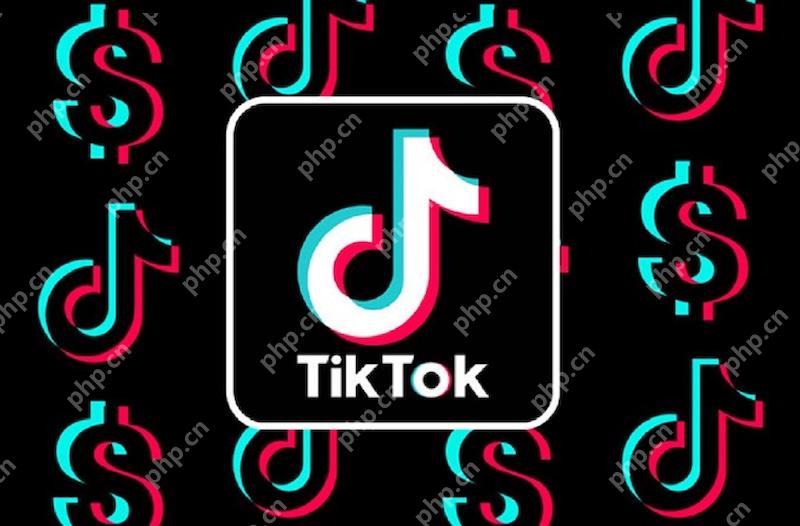 TikTok地區(qū)限制內(nèi)容訪問 怎樣合法切換區(qū)域節(jié)點？ - php中文網(wǎng)