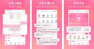 美柚如何查看歷史記錄