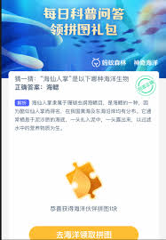 硨磲名字源于什么