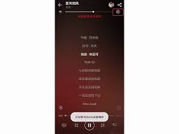 網(wǎng)易云音樂如何進(jìn)行投屏