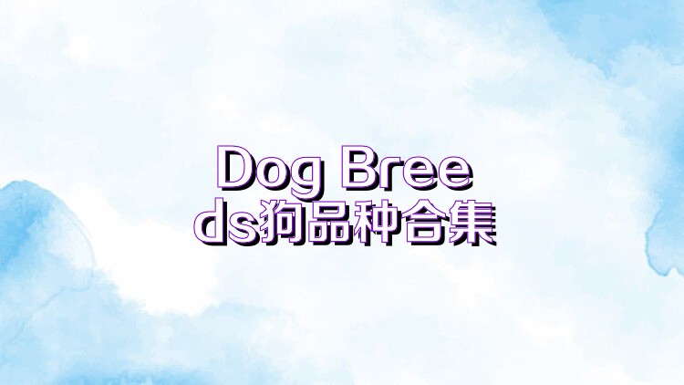 Dog Breeds狗品種合集