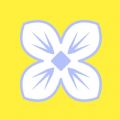 丁香花