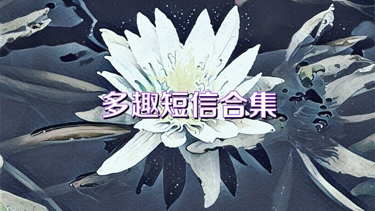 多趣短信合集