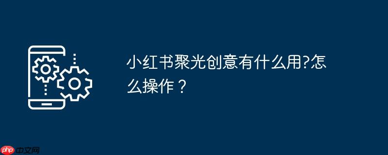 小紅書聚光創(chuàng)意有什么用?如何操作