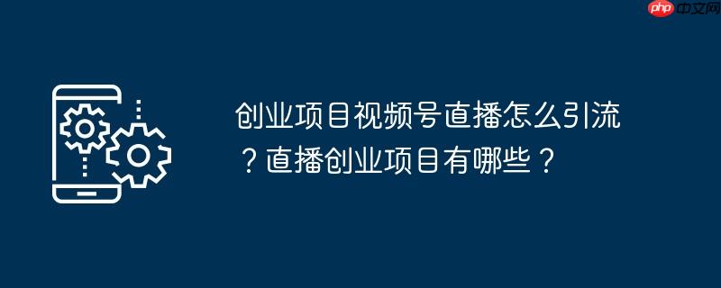創(chuàng)業(yè)項目視頻號直播如何引流