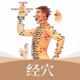 中醫(yī)經(jīng)絡(luò)穴位