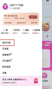 花小豬行程記錄怎么刪除