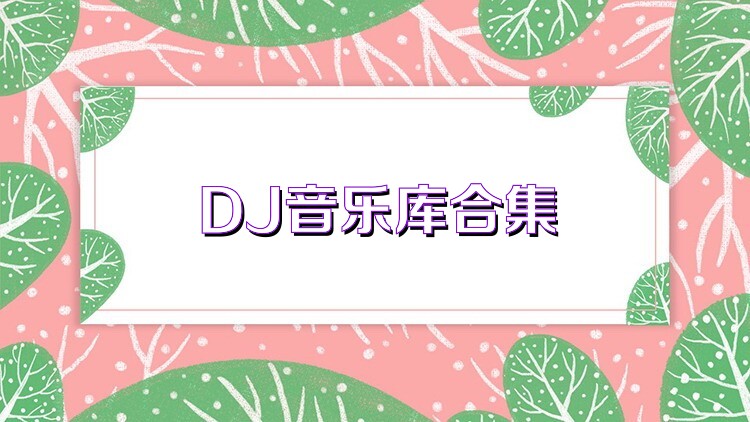 DJ音樂庫合集