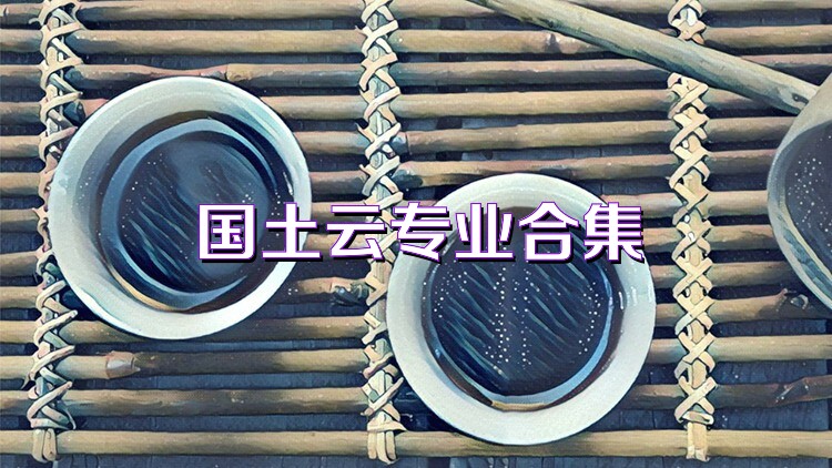 國(guó)土云專業(yè)合集