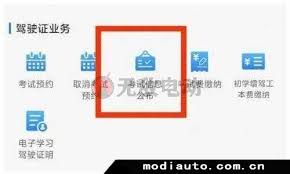 交管12123如何查詢個人成績