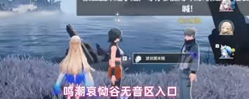 鳴潮哀慟谷無音區(qū)位置在哪