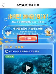 支付寶神奇海洋7.24日答案在哪找