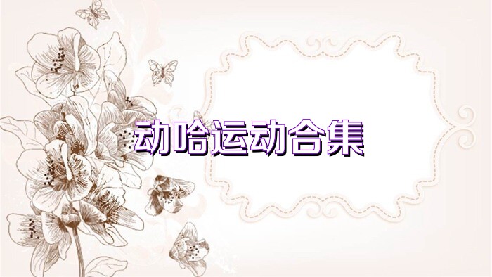 動哈運動合集
