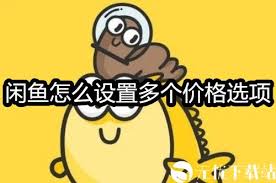 閑魚如何設(shè)置多種價格選項