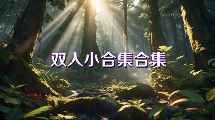 双人小合集合集